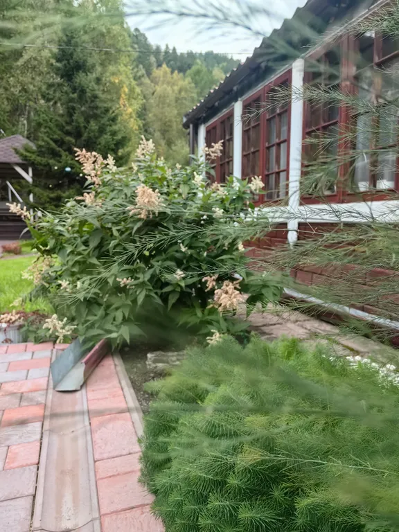 Уютный дом Lucky House для семьи