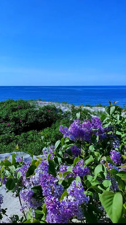 Барнхаус у моря