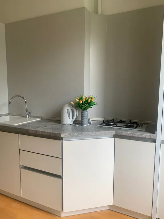 Квартира Уютная квартира в центре города с лесным массивом . — Светлогорск