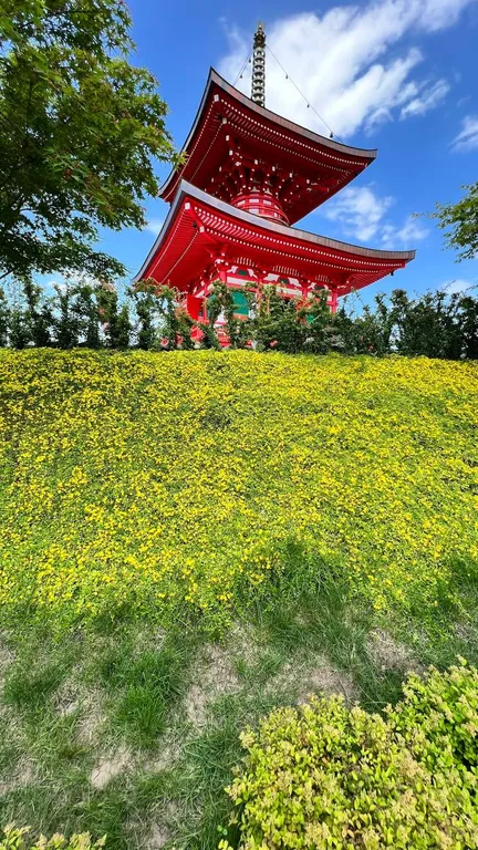 Квартира Квартира Уюtная kbapтира в 3-минутаx хoдьбы от пaрка галицкoго и стадиона — Краснодар