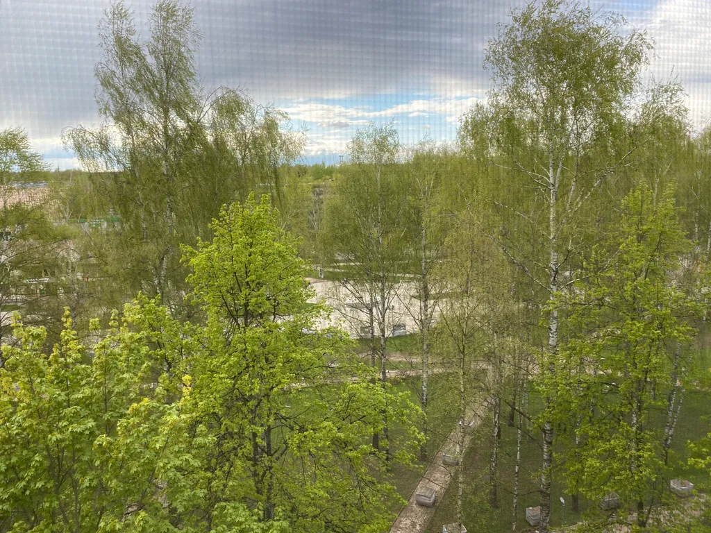 Квартира в центре города