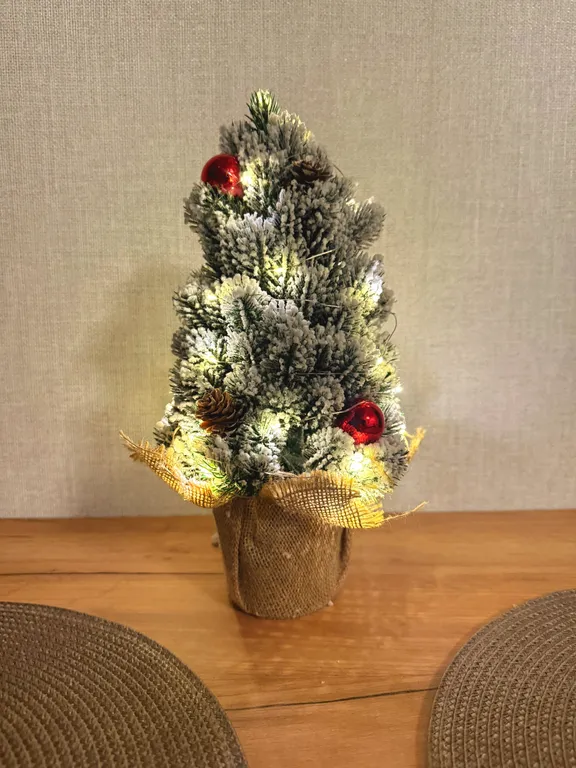 Французский балкон с видом на Псковский Кремль