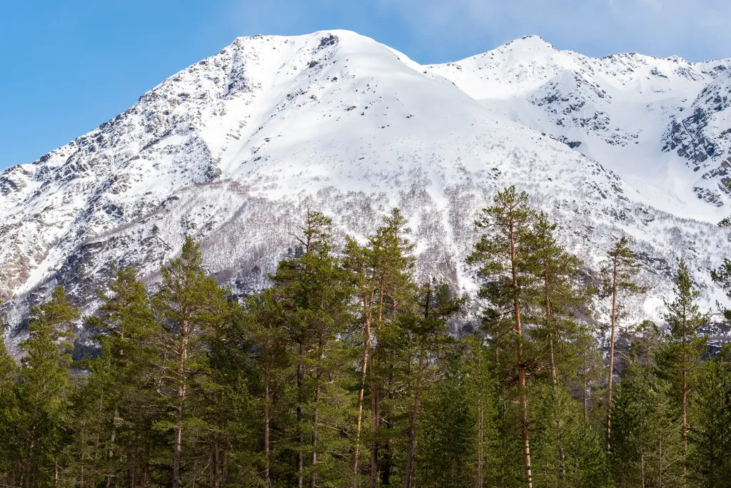 Просторная квартира