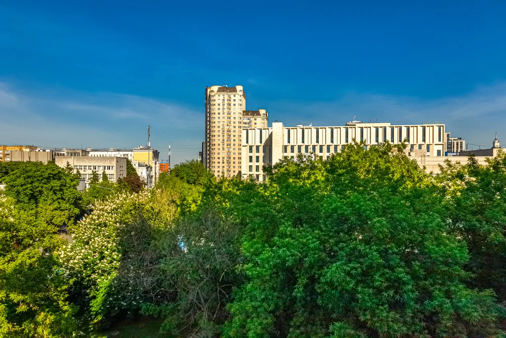 Квартира рядом с НИИ скорой помощи им. Н. В. Склифосовского