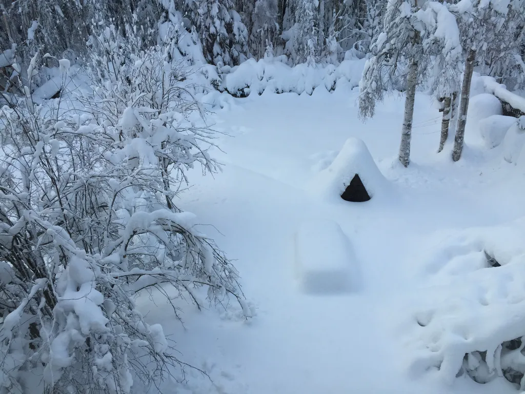 Уютный домик на день рождения