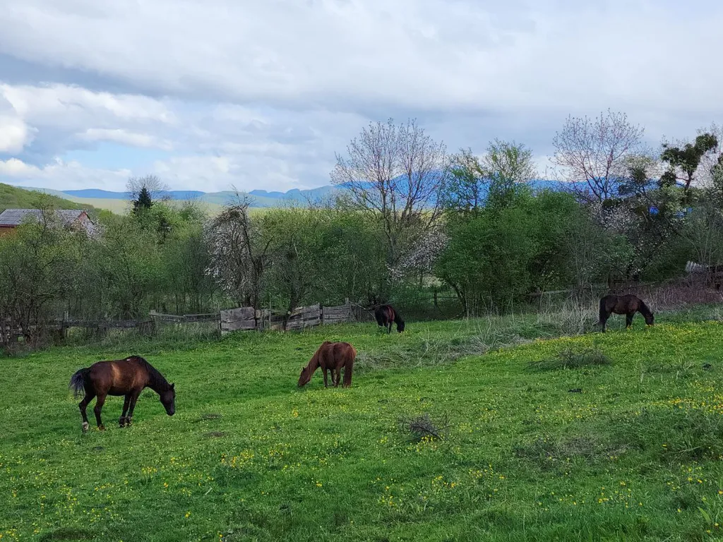 Деревенский домик с собственной беседкой и прекрасным видом на горы