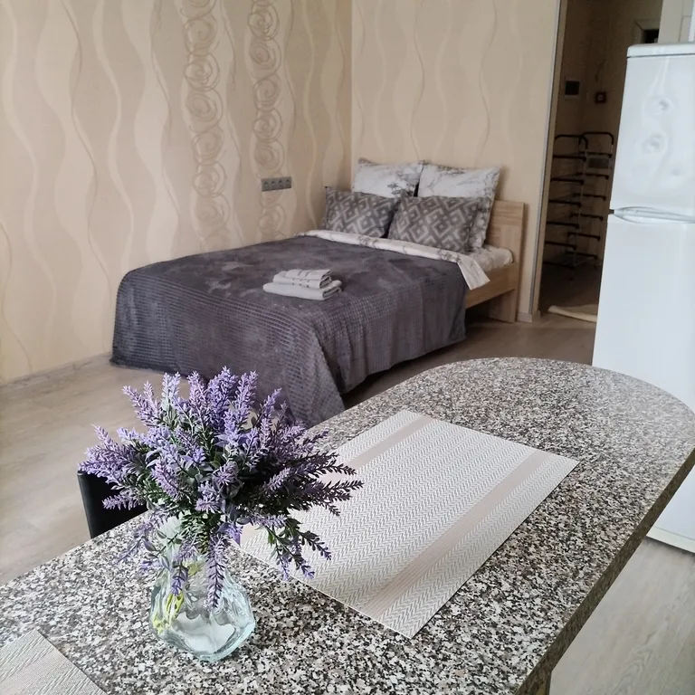 Квартира Уютная студия, новый благоустроенный район, есть всё необходимое — аренда посуточно в Раменское