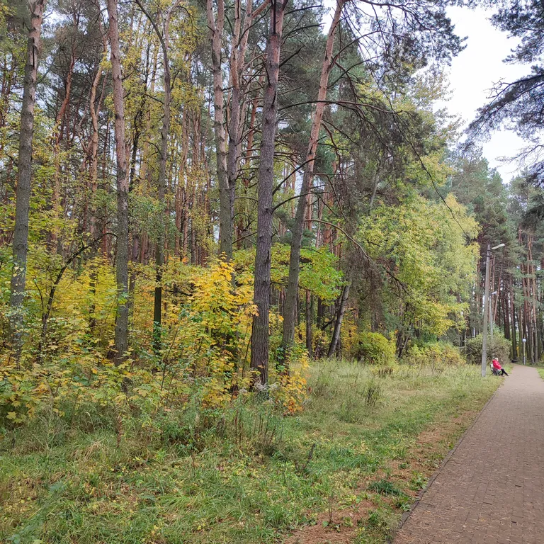 Двушка как трёшка