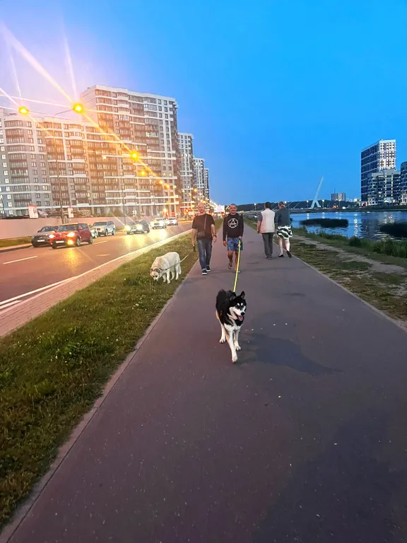 Квартира Квартира у моря - 1 — Санкт-Петербург