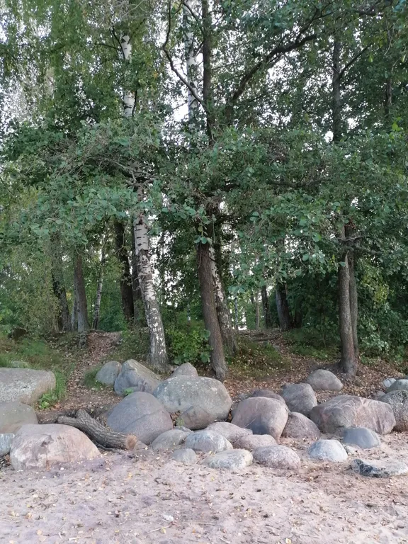 Квартира Уютная комната в доме Счастья — Ломоносов