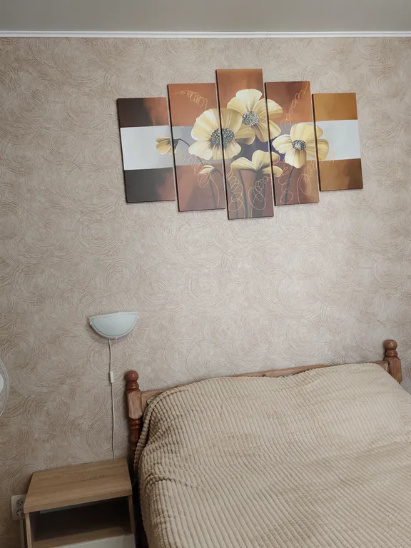 Квартира Уютная квартира — Калининград