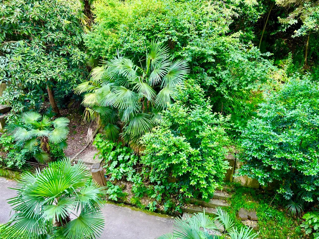 Двухкомнатная квартира с окнами во двор