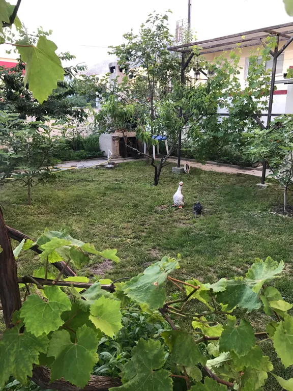 Современный и уютный дом