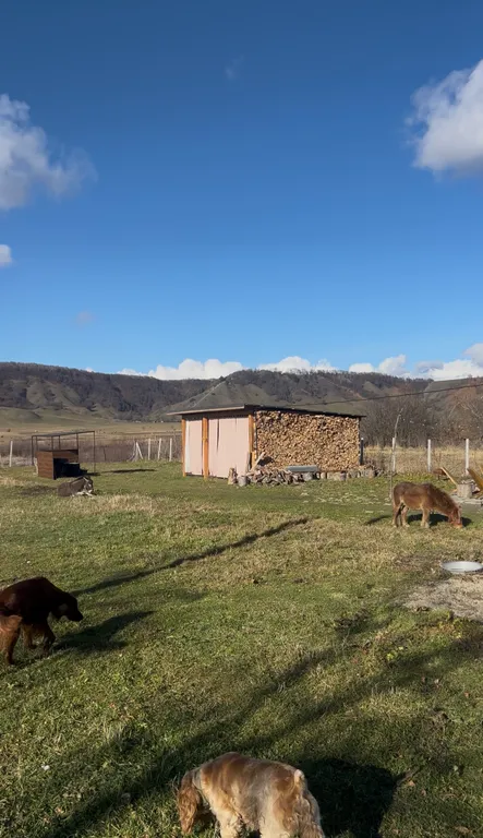 Дом в горах у реки