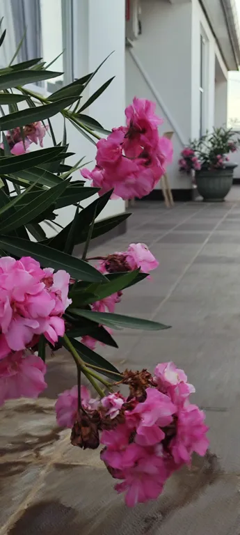 Дома у моря Аквамарин