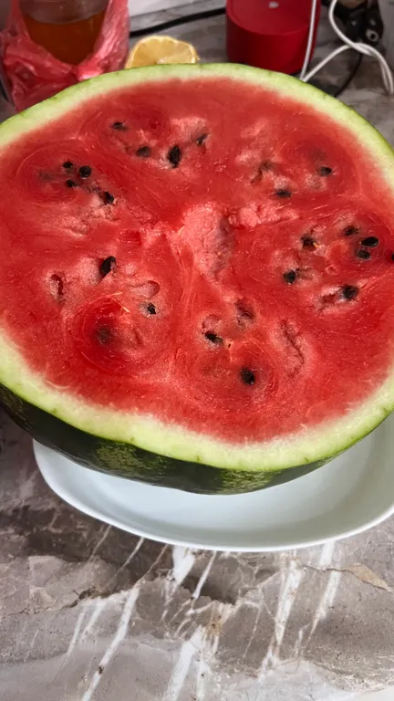 Дом для счастливой рыбалки