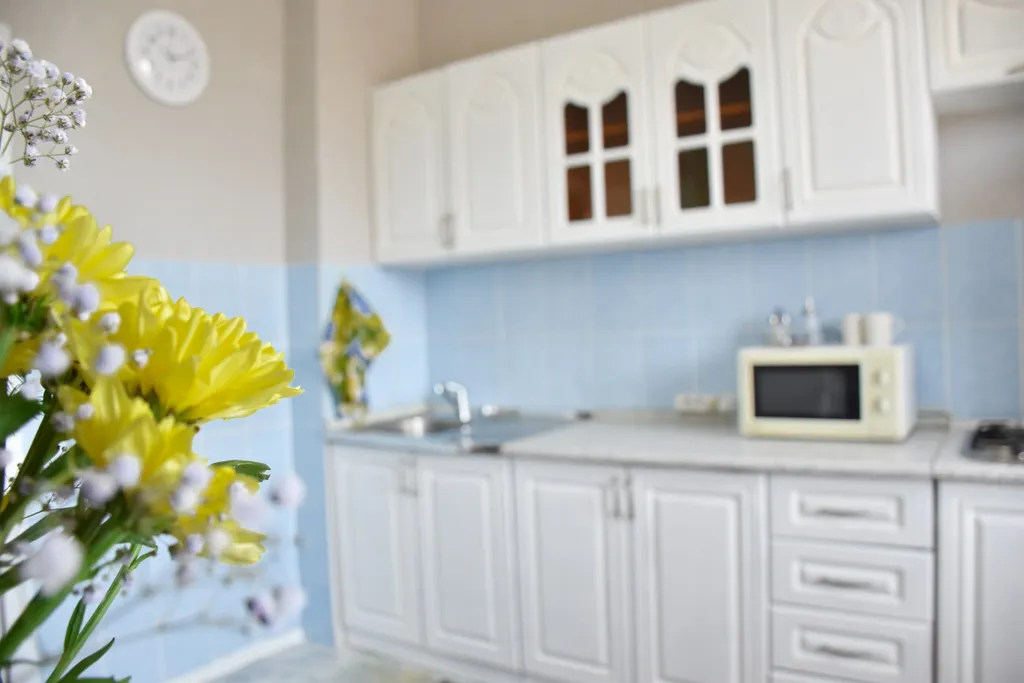 1-комнатная квартира с панорамным видом на Заилийский Алатау — комфорт