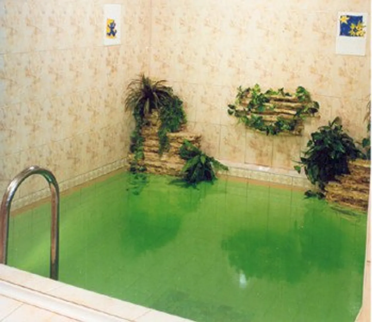 Мини - бассейн