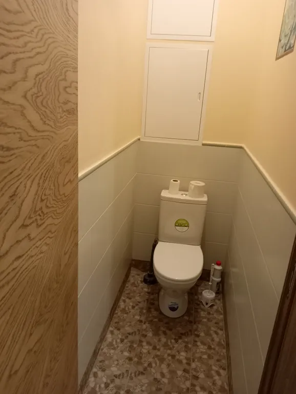 Уютная однокомнатная квартира