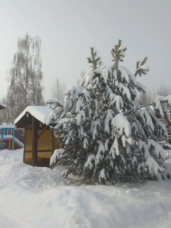 Шестиместный коттедж с тремя спальнями на берегу озера Селигер