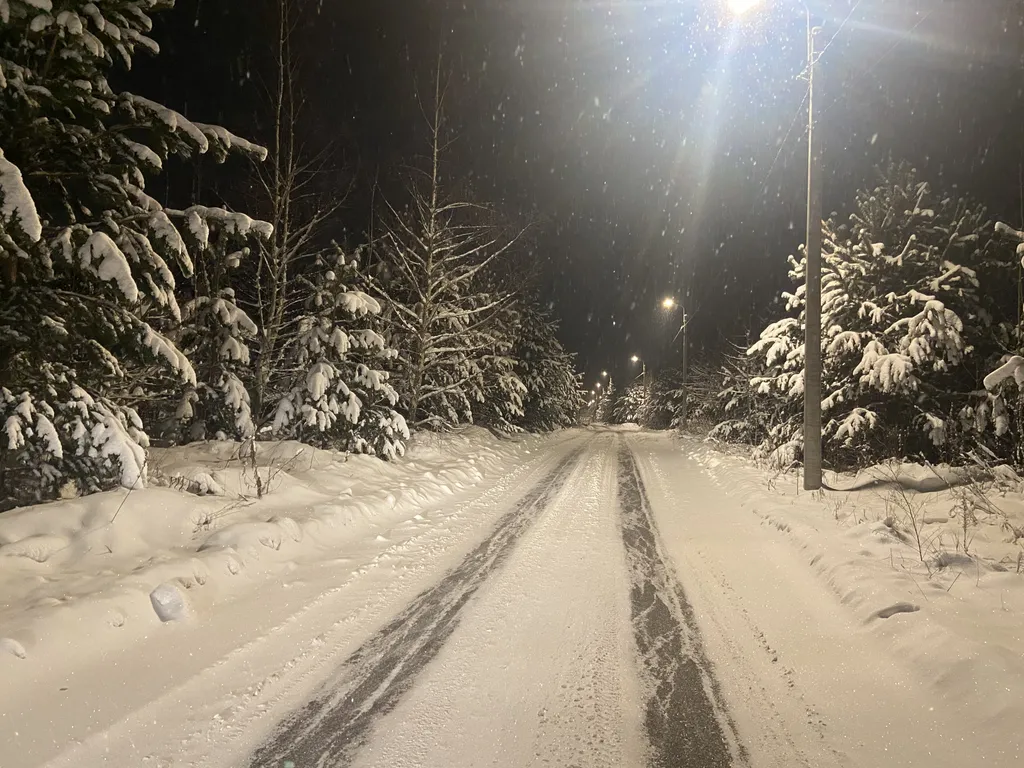 Дом в черте города в сосновом лесу
