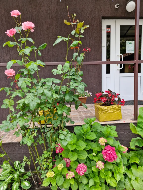 Семейная комфортная комната с балконом