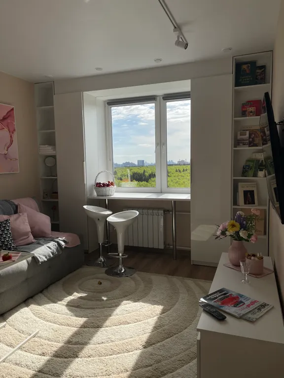 Студия с ванной и с панорамным видом Москвы