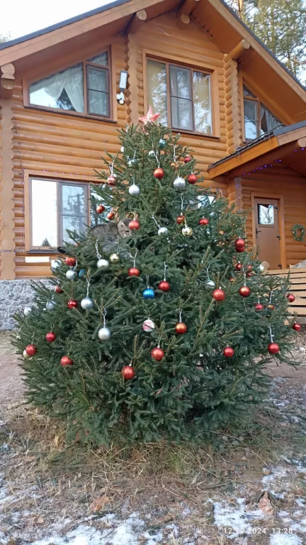 Дом на озере