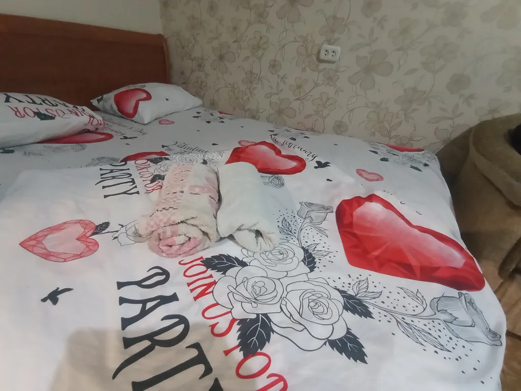 Квартира в центре города — аренда посуточно в Тольятти