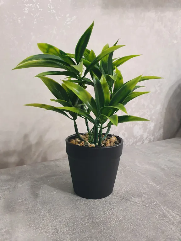 Квартира-студия с потрясающим видом на Волгу и лес