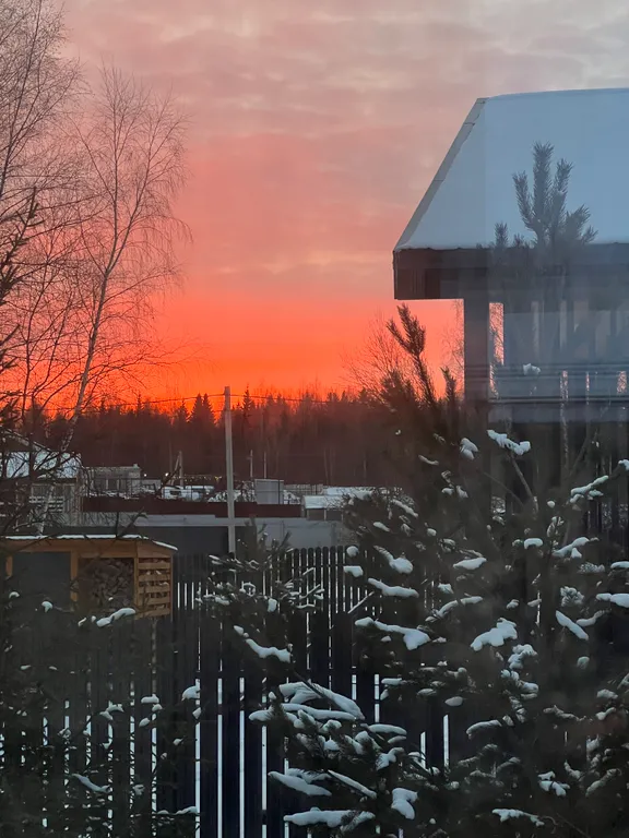 Уютный стильный новый дом с баней в окружении берёзовой рощи