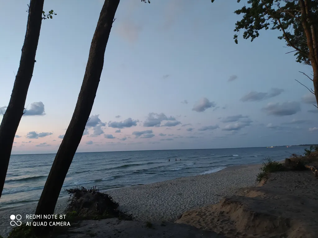 Квартира Уютная квартира с видом на лес — Светлогорск