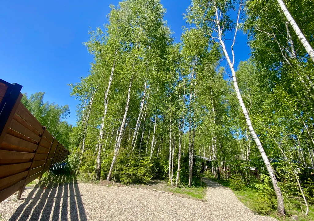 Коттедж Домик в лесу с сауной и купелью — Гжель