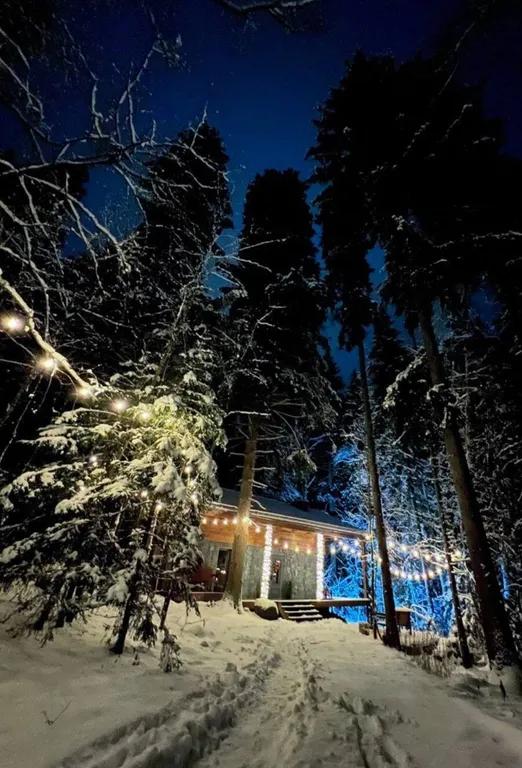 Коттедж Сказочный Шале с камином и джакузи в живописном лесу — Шадрино