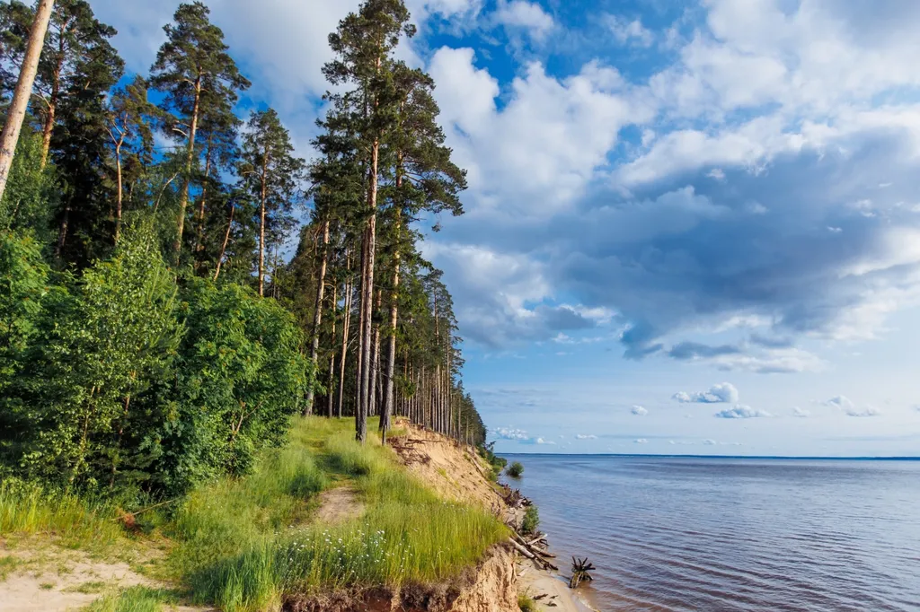 Новый, уютный дом