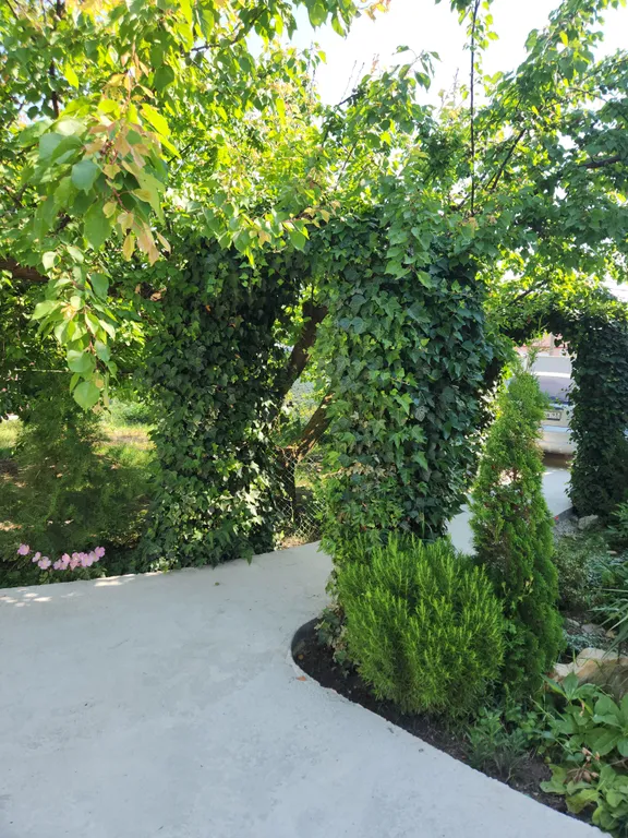 Семейный 3-х комнатный номер в тихом районе