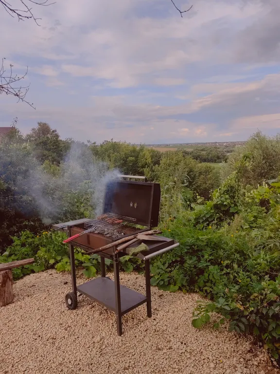 Дом с видом на восход для творческих людей