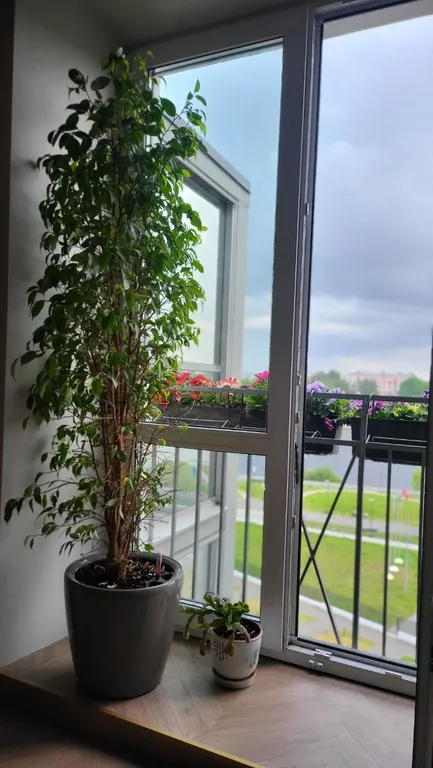 Квартира с видом на реку