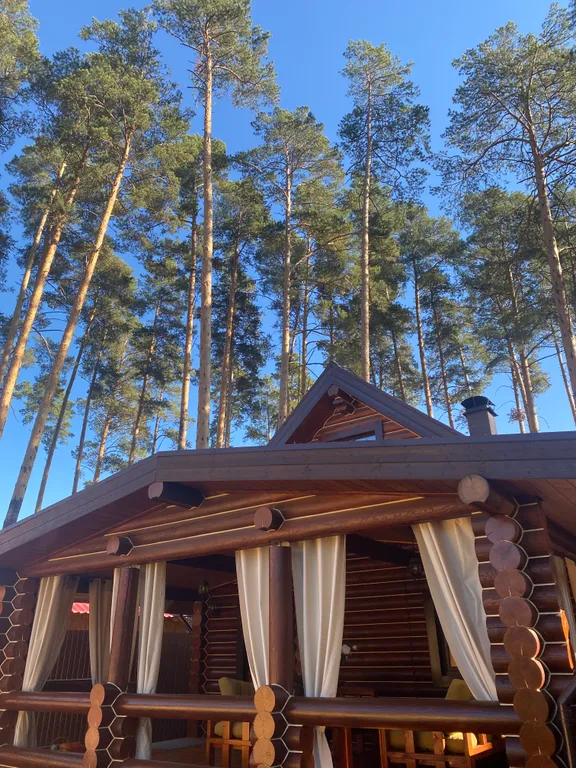 Атмосферный дом с русской печью и баней