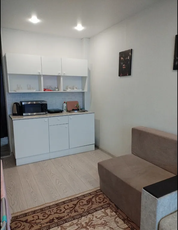 Уютная студия гостиничного типа с ремонтом