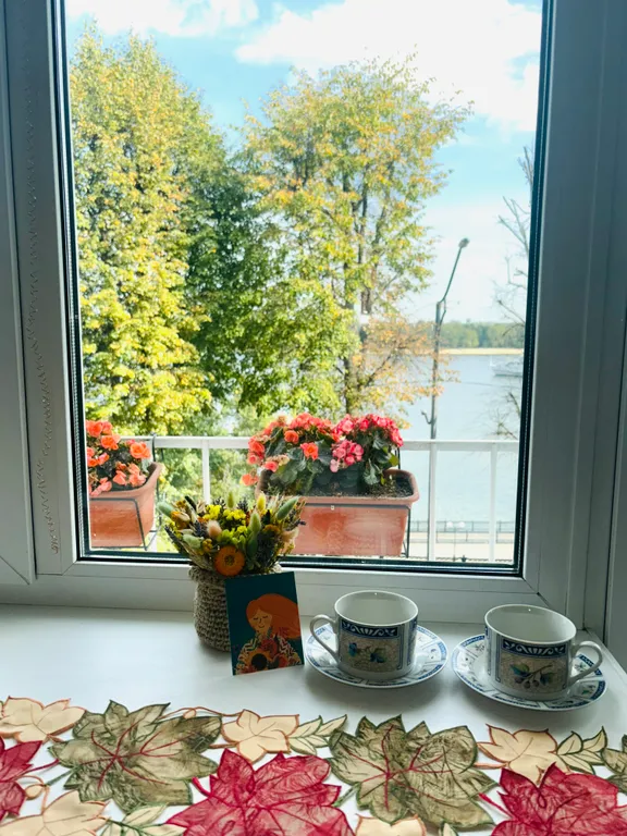 Уютная квартира с видом на реку Волга в центре