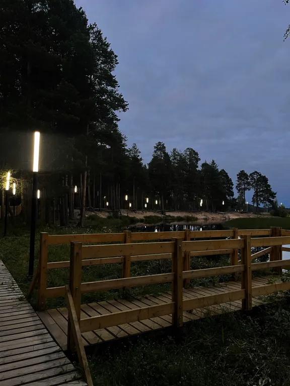 Уютный дом с живописным видом на лес