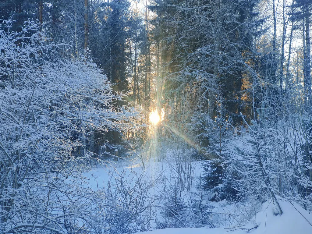 Дом на берегу озера без соседей