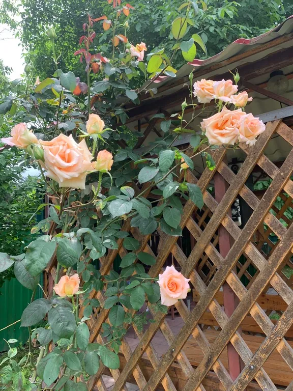 Уютный дом с бассейном, верандой и садом