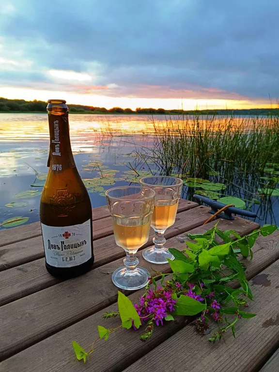 Коттедж Дом на Волге с рубленной баней и банным чаном — Бор