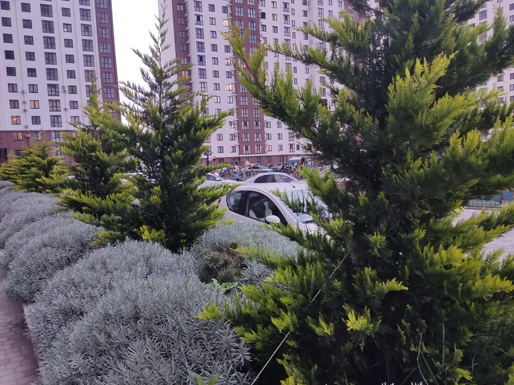 Студия с видом на море