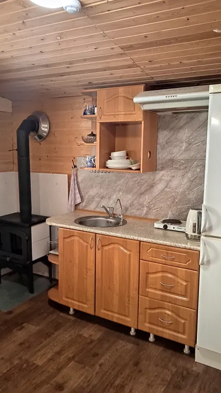 Охотничий дом с медведем на Ладоге