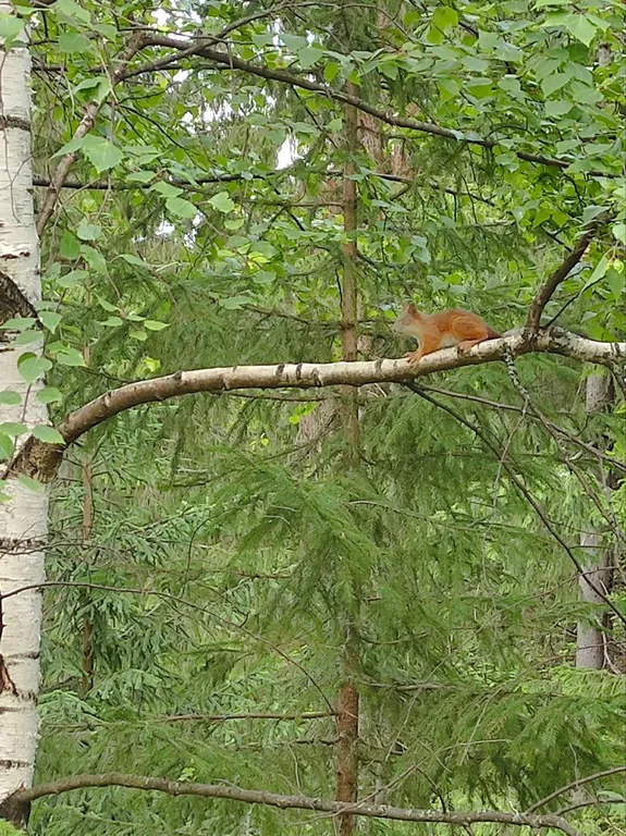 Дом с баней на берегу залива реки Чусовая База Отдыха