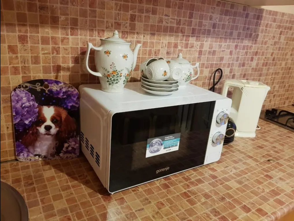 Bon Voyage уютная квартира в центре Петрозаводска