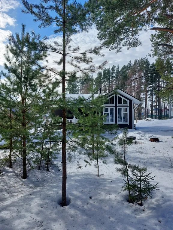 Коттедж Дом на берегу Финского залива — Песочный